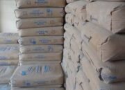 Semen Andalas Langka dan Mahal di Tanah Kelahiran, Anggota DPRA Harus Desak Pemerintah Aceh Bersikap Tegas
