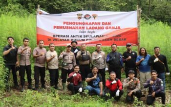 Operasi Antik Seulawah II Tahun 2026, Polres Aceh Besar Musnahkan 3.500 Batang Ganja Di Perbukitan Desa Pulo