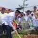 Bupati Ayahwa Tanam 800 Pohon, Jadikan Milad Samudera Pasai ke-800 Momentum Menjaga Warisan dan Alam