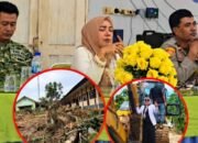 Kronologi Kasus Penebangan Pohon SMAN 1 Simpang Ulim, Aceh Timur
