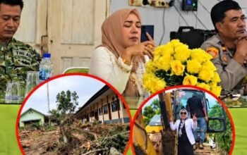 Kronologi Kasus Penebangan Pohon SMAN 1 Simpang Ulim, Aceh Timur